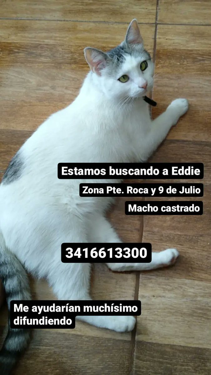 MijaMarty's tweet photo. Si pueden darle rt me ayudarían muchísimo https://t.co/QNTPDxB9TD