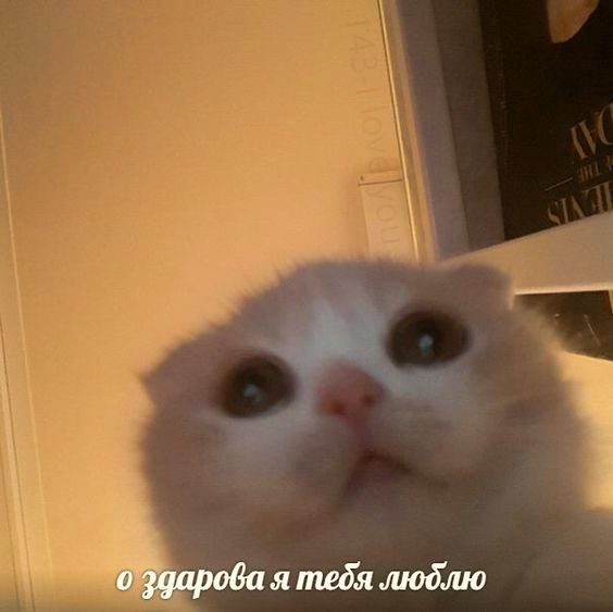 Jane42406834's tweet photo. ты пахнешь мятой
футболочки помяты
жду тебя всегда между 4 и 5 https://t.co/DUoCMTNgUB