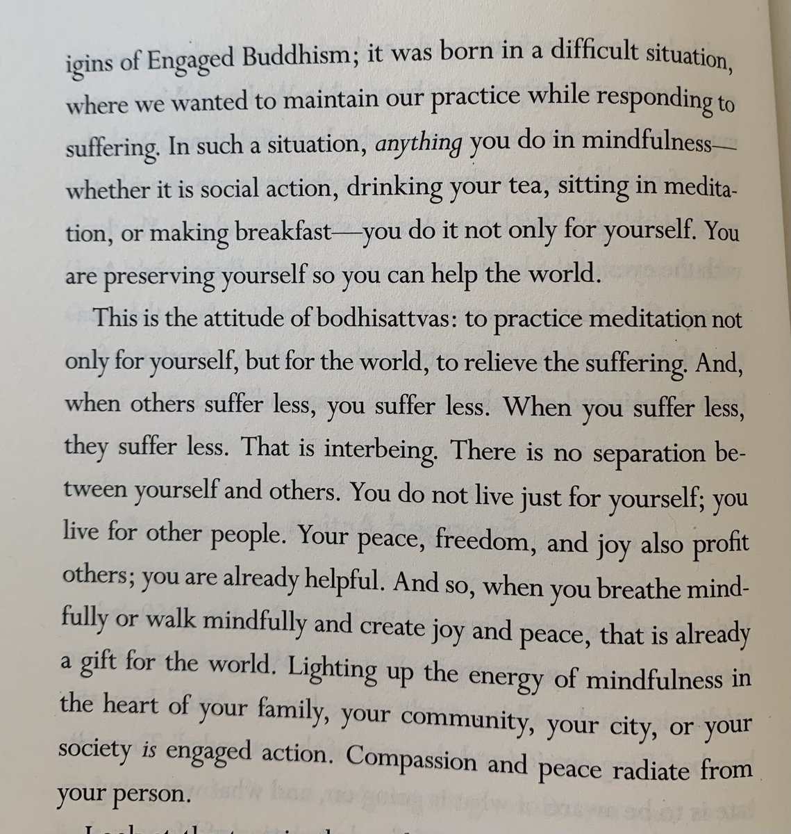 maryannehitt's tweet photo. “If you don’t maintain a spiritual practice during the time you serve, you will lose yourself, and you will burn out. And so we learned to breathe, to walk, to release the tension so we could keep going.” From “Zen &amp; the Art of Saving the Planet” by @thichnhathanh &amp; @sistertrueD https://t.co/GwgS3oGzZN