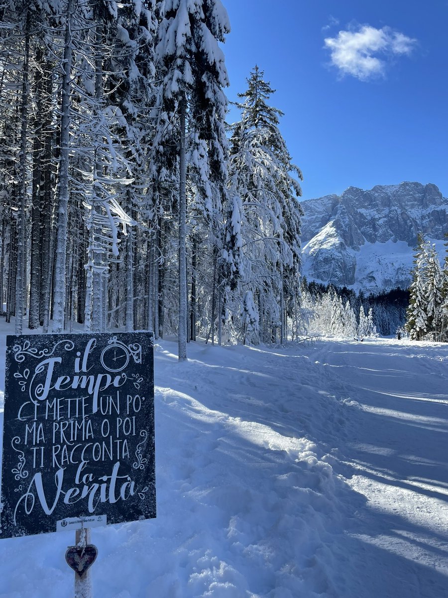 LaSqualetta's tweet photo. E poi c’è questa parte del Friuli Venezia Giulia che è qualcosa di meraviglioso! Oggi mi sono regalata quasi 13 km di passeggiata tra boschi e sentieri, pieni di neve e natura in Val Saisera! #FVG #valsaisera #turismofvg https://t.co/C2Iq690s8L