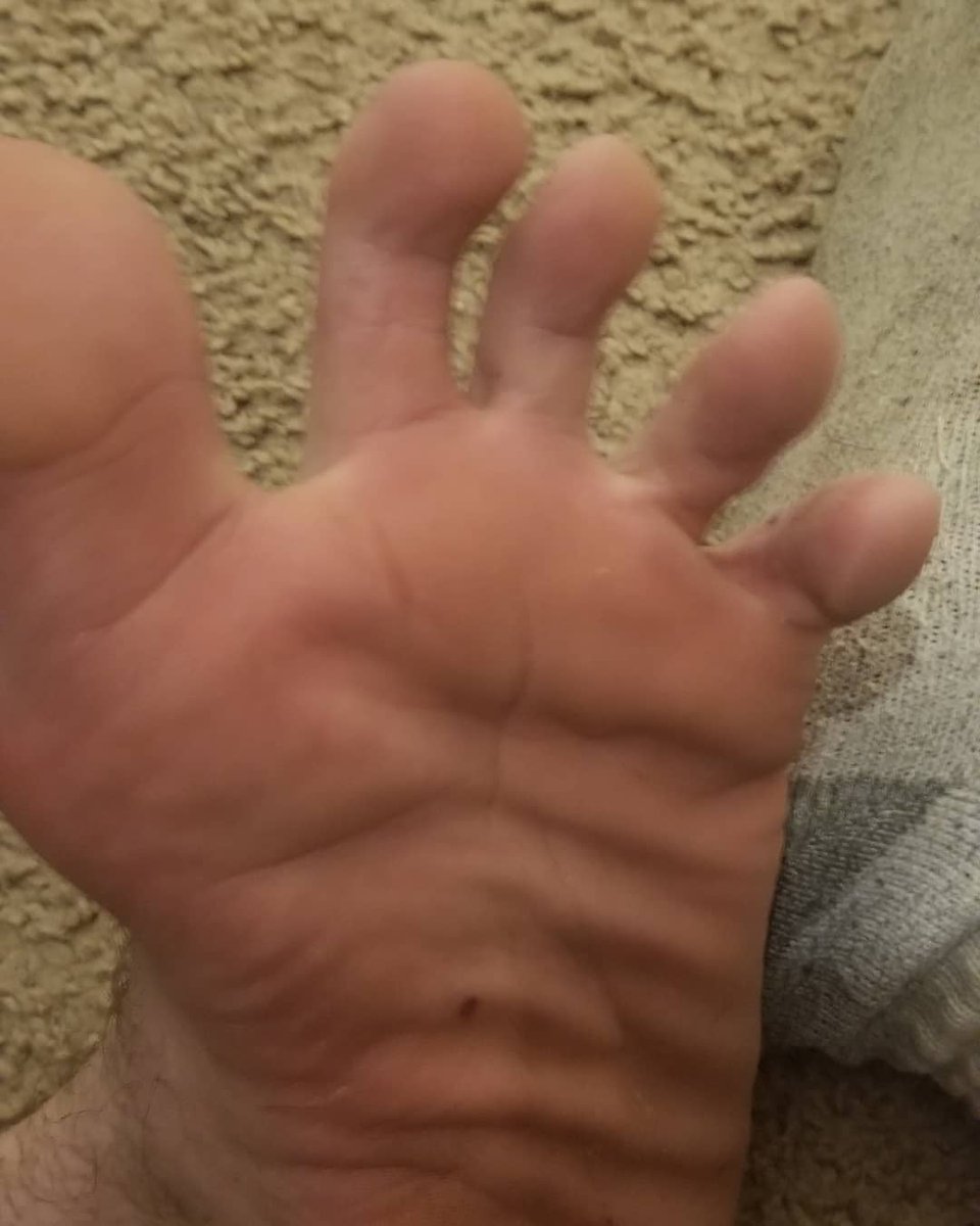 BFHFeet's tweet photo. Goodmorning cashcucks, pig slaves, cashsluts, and feetfags. Come worship me this morning.
https://t.co/ju6nFGjXgn
#cashmaster #cashfags #cashdrain #cashcow #finserv #findomdrain #findomuk #findomking https://t.co/F7l1C2gXJI