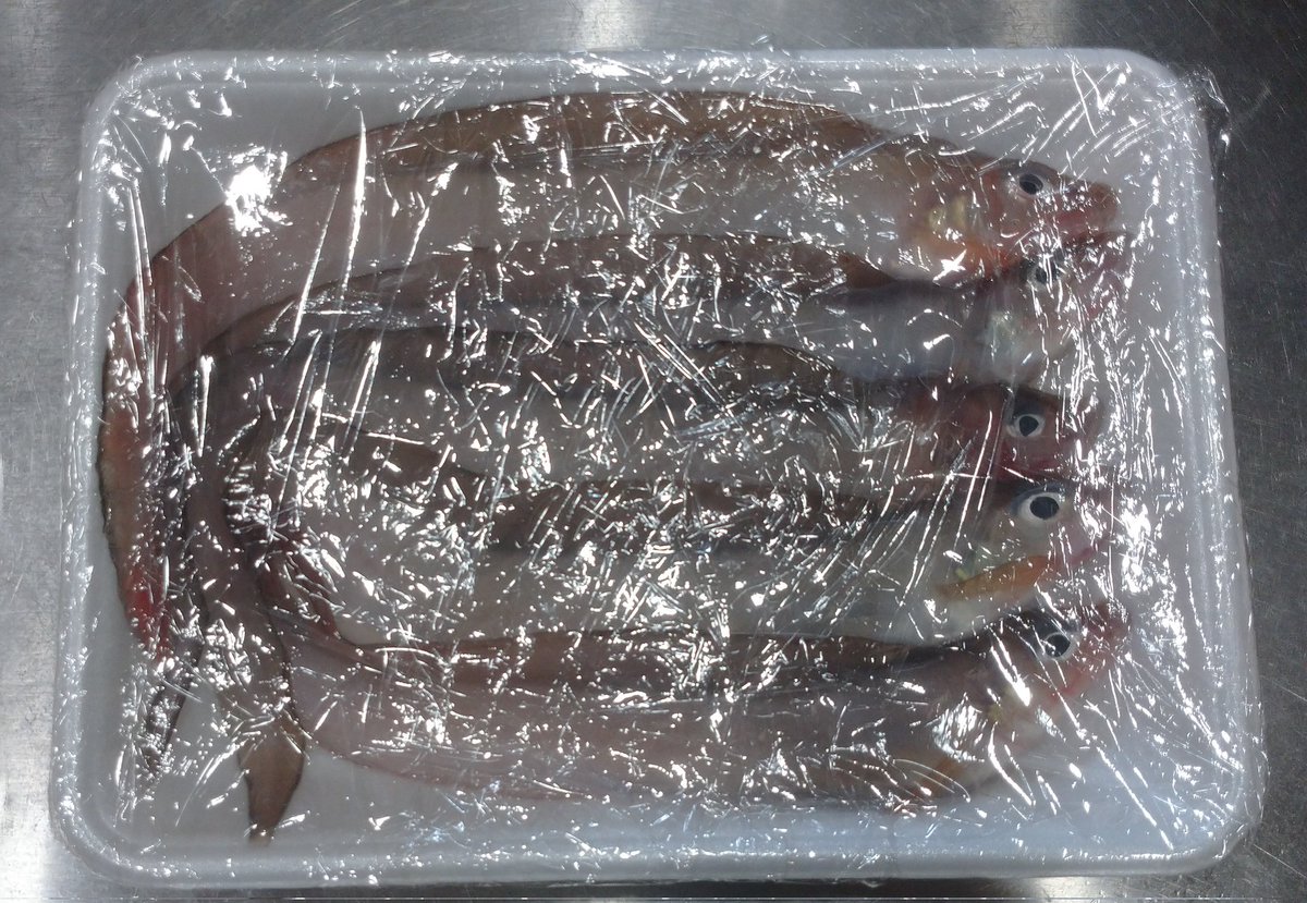 cherry_masaya's tweet photo. #fishshopping
#deepseafish #深海魚
#魚料理大好き
あの魚😂
吸い物、鍋しかないな~
唐揚げは油がはねそう。
明日、した処理しよう。 https://t.co/S0GDdP3ttx