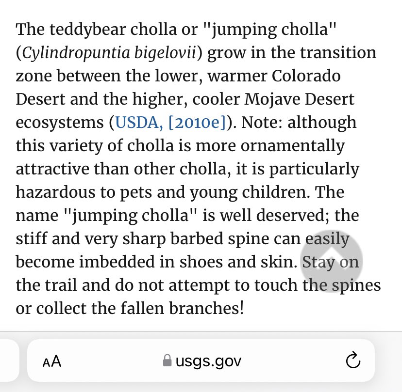 Annika Salzberg tweet media