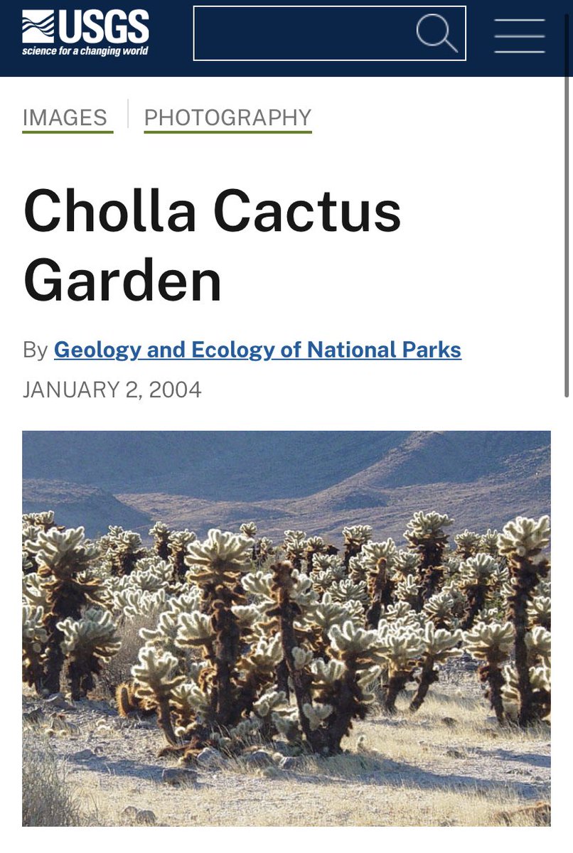 Annika Salzberg tweet media