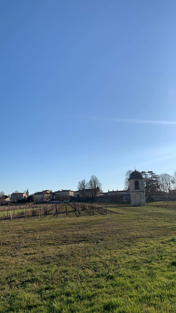 En direct des vignes… 🍇

On vous prépare quelque chose de sympa ! 🍷

#SaveTheDate 02/02/2022 🗓 

#digioenologie #gogogo #mbadmb