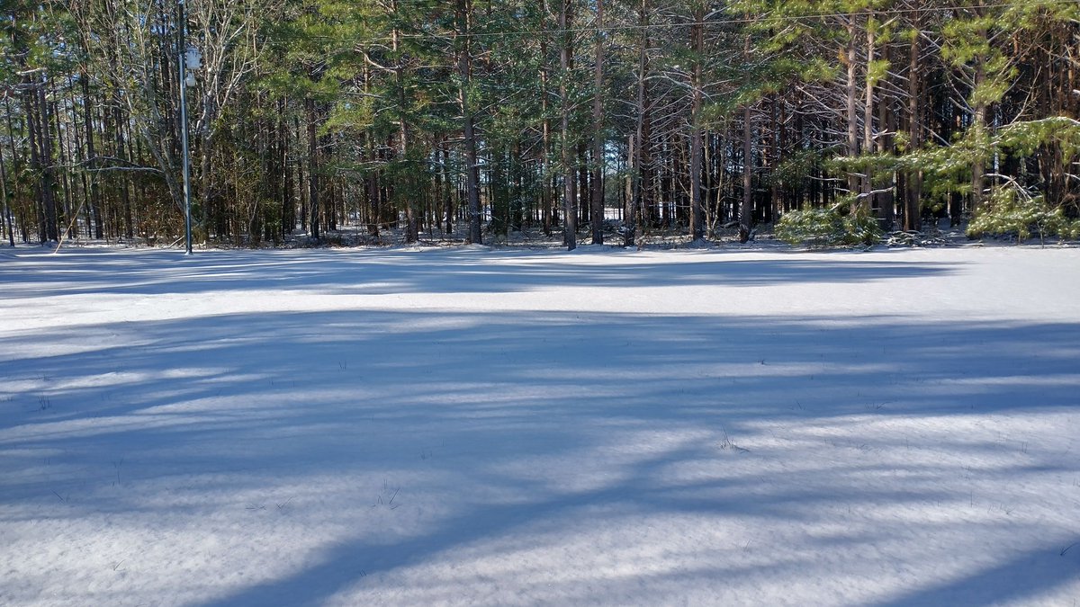 HeathSumm's tweet photo. First snow we've had here in about 12 years #Snowday in South Carolina. https://t.co/I5O4hxsWfj