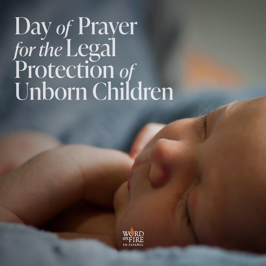 BishopBarron's tweet photo. https://t.co/SeGN4vXk3J