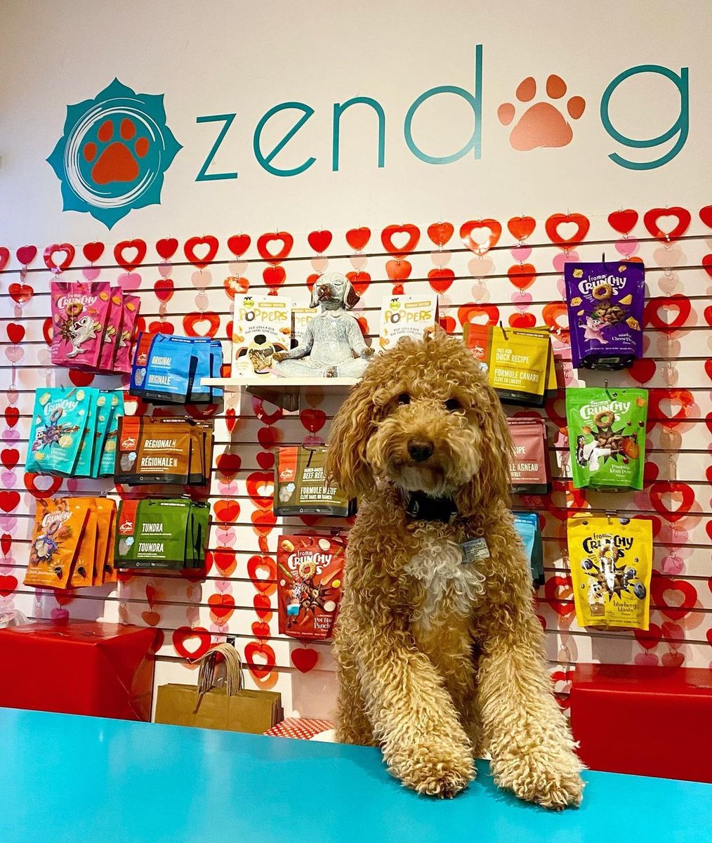 ChurchWellesley's tweet photo. Zen Dogs Services Annual #mustlovepets event is now on!
Every time you make a purchase of over $20.00 from now to Valentine's Day you will receive a ballot that you can place in one of 30 Valentine Boxes labeled by the best brands they carry for 🐶 and 🐱. 
#ChurchWellesley https://t.co/Pc7JVU6WBJ