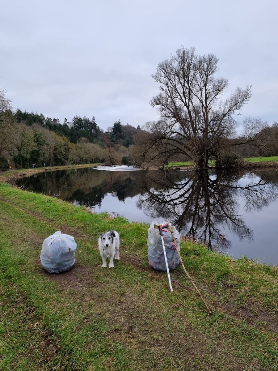 roriain's tweet photo. Good to get back out on the #BarrowTrack for a great walk in nature. Picking up #litter as I go. Clashganny up to Bun na hAbhann.
#LeavenoTraceirl #BarrowLine #RiverBarrow #litterpick #respectingnature https://t.co/Ef7eN9LK64