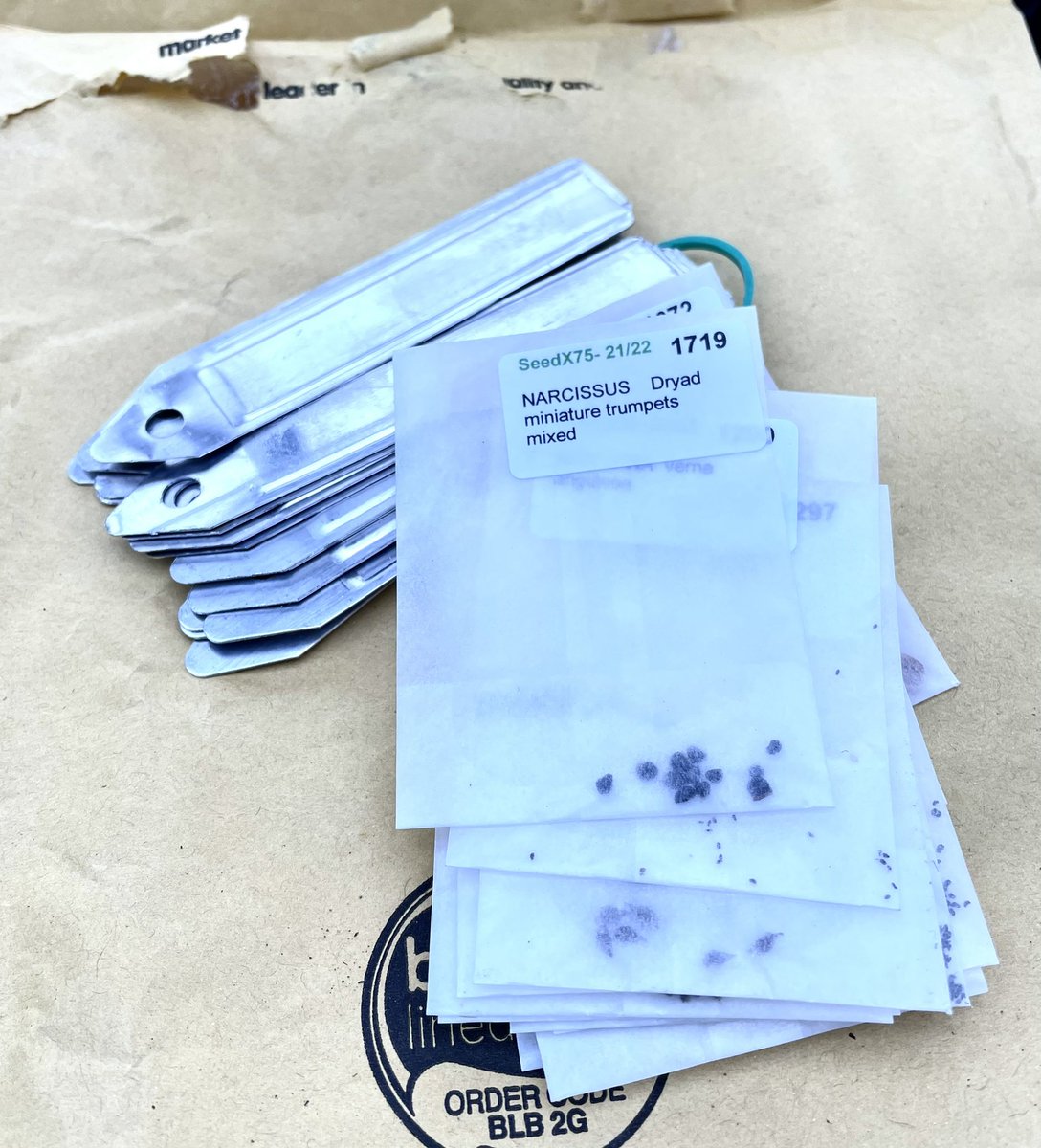 AtomicGlasgow's tweet photo. Even more seeds! #SRGC #seedex #seedExchange https://t.co/xcXTMLZoFF