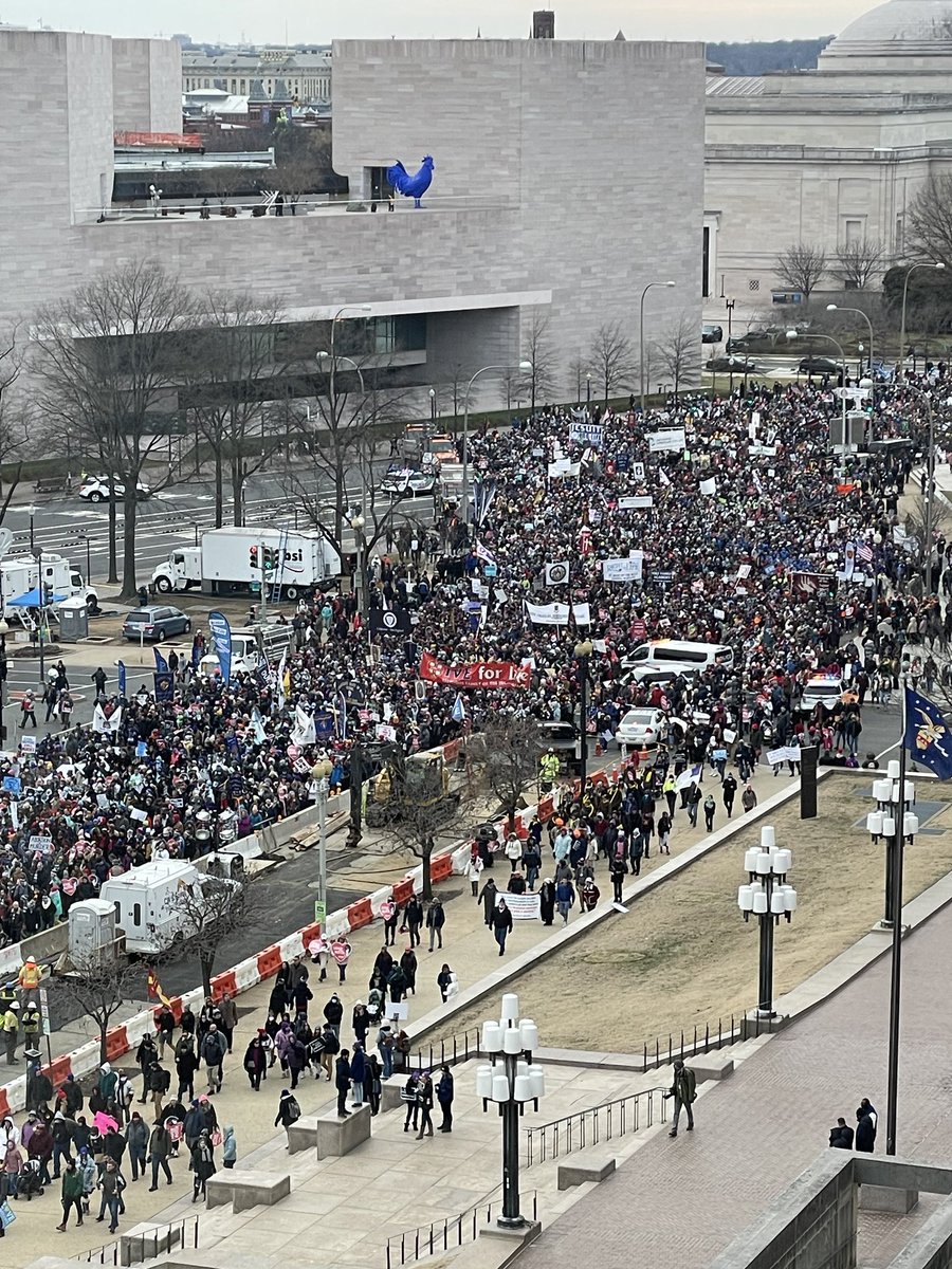 BiomagnetismUSA's tweet photo. United in Heart ❤️ and Soul 🌟 to those in DC today marching for Freedom, Liberty, Human Rights and our Life!
In cold dreary January, they keep coming by the tens of thousands.
The longest running annual protest in American history. 🇺🇸🦅✌️♥️🌟👍‼️ #dcmarch #DCprotest #DC https://t.co/7z8PsZZYJr