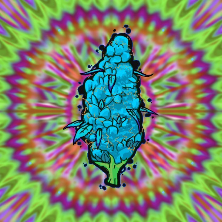 Your Happy High Official tweet media