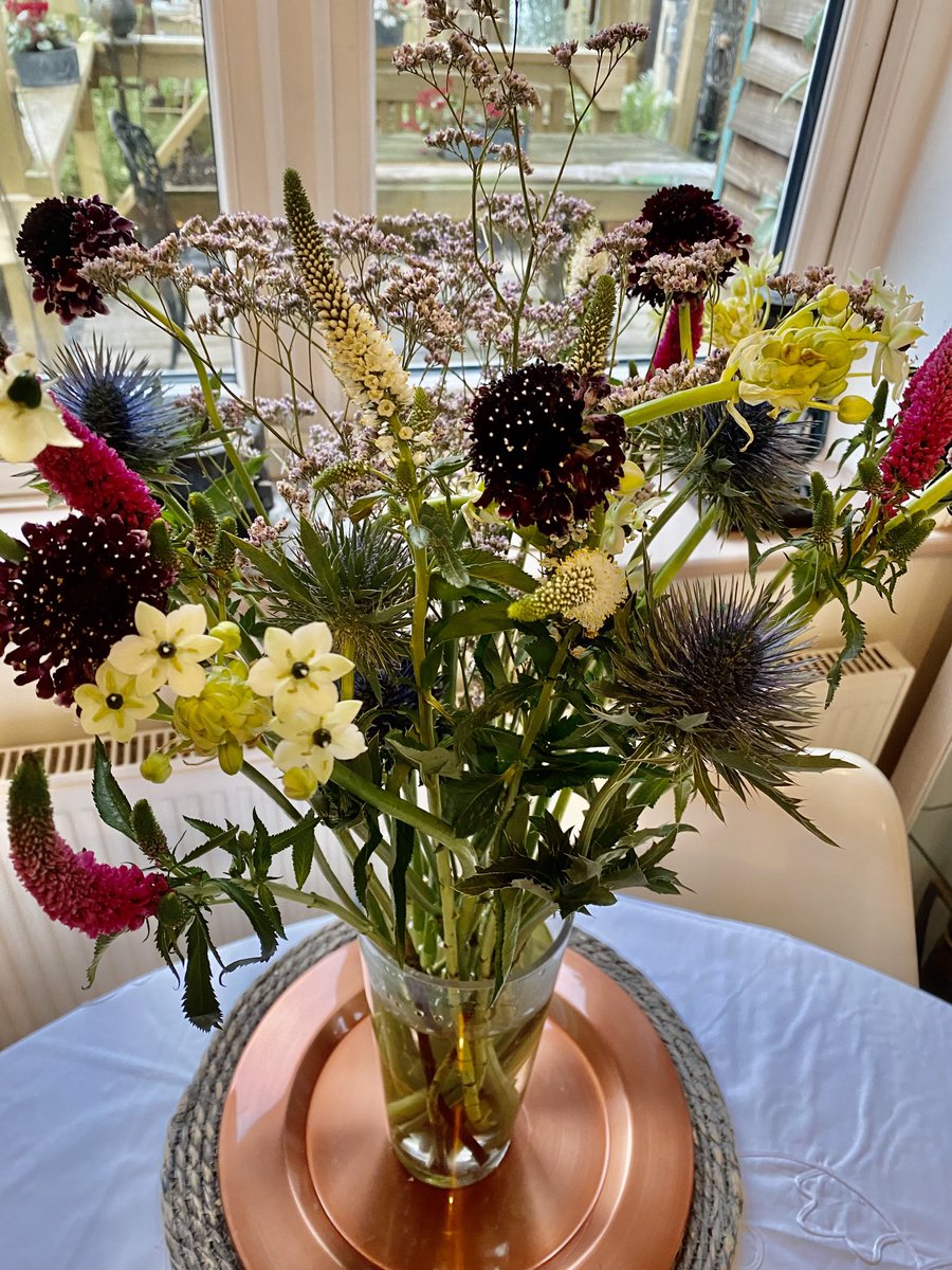 Cindy (Spence) Vallance (she/her) tweet media