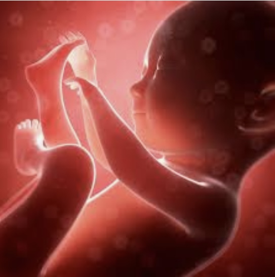 YAMSyracuse's tweet photo. We pray for the legal protection of unborn children.

#equalitybeginsinthewomb  #lovethemboth https://t.co/rWdpH8HS7U