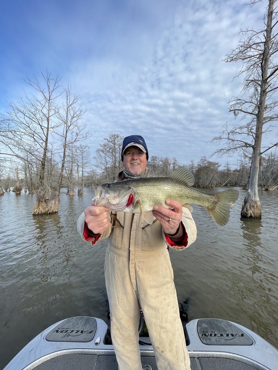 NMB1214SHR's tweet photo. Thank you Kyle Austin what a great day https://t.co/84bL5sX4bW