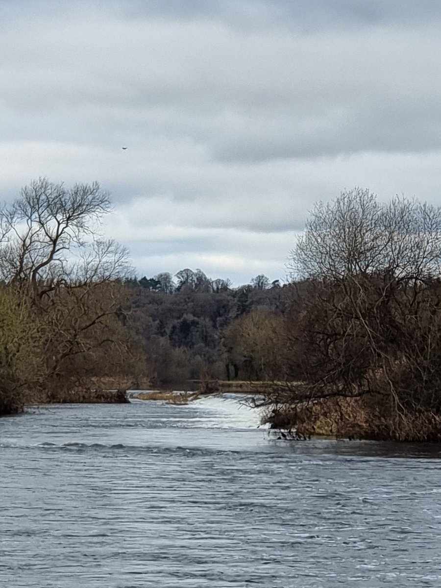 roriain's tweet photo. Good to get back out on the #BarrowTrack for a great walk in nature. Picking up #litter as I go. Clashganny up to Bun na hAbhann.
#LeavenoTraceirl #BarrowLine #RiverBarrow #litterpick #respectingnature https://t.co/Ef7eN9LK64
