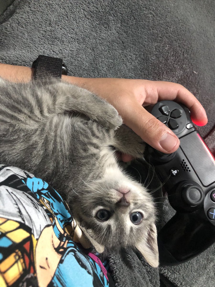 Johnny Hate tweet media