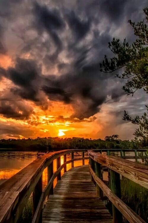 Bonsoir mes Ami(es)💚
Je vous souhaite une belle et douce soirée pleine d'amour 💚