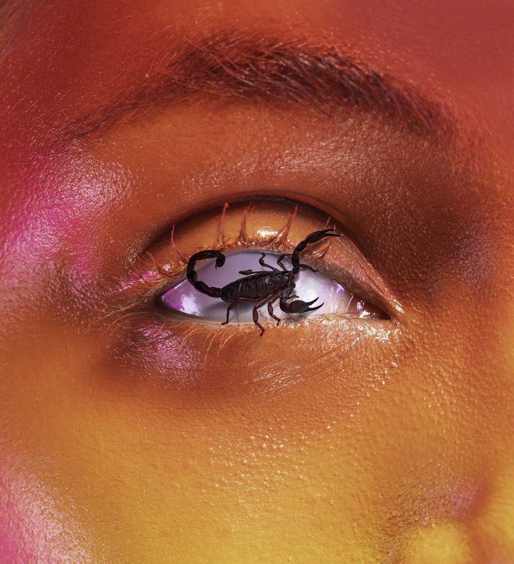 Polyester tweet media