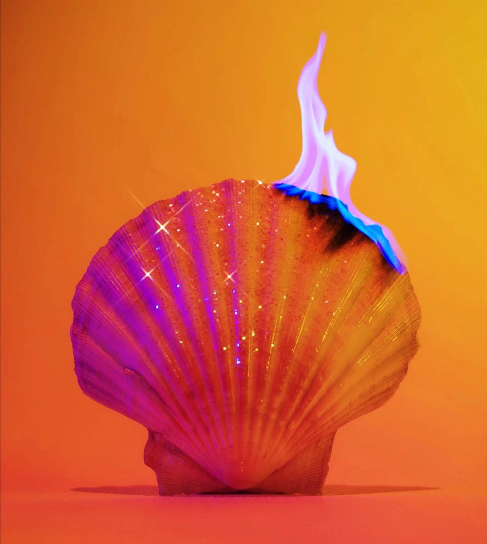 Polyester tweet media