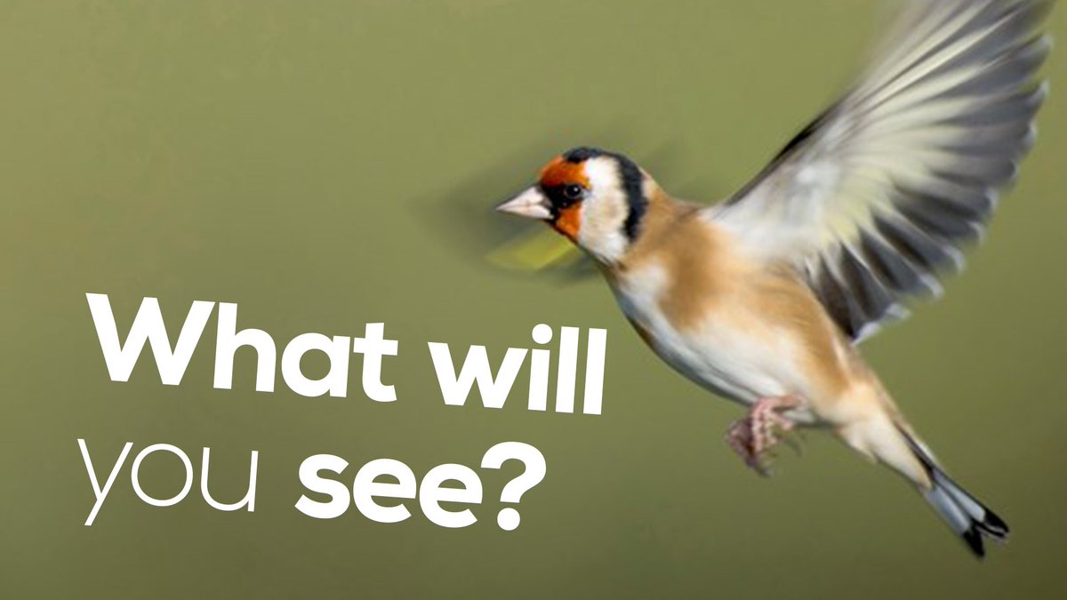 RT @Natures_Voice: Are you ready to take part in the #BigGardenBirdWatch next week? Sign up and get all of the information you need here ➡️ bit.ly/BGBWT 👀🏡🐦