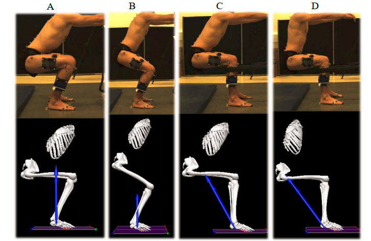 A BIOMECHANICAL INVESTIGATION OF A SPANISH SQUAT: THE EFFECT OF TRUNK INCLINATION ON QUADRICEPS ACTIVATION

👀👀👇👇

researchgate.net/publication/33…