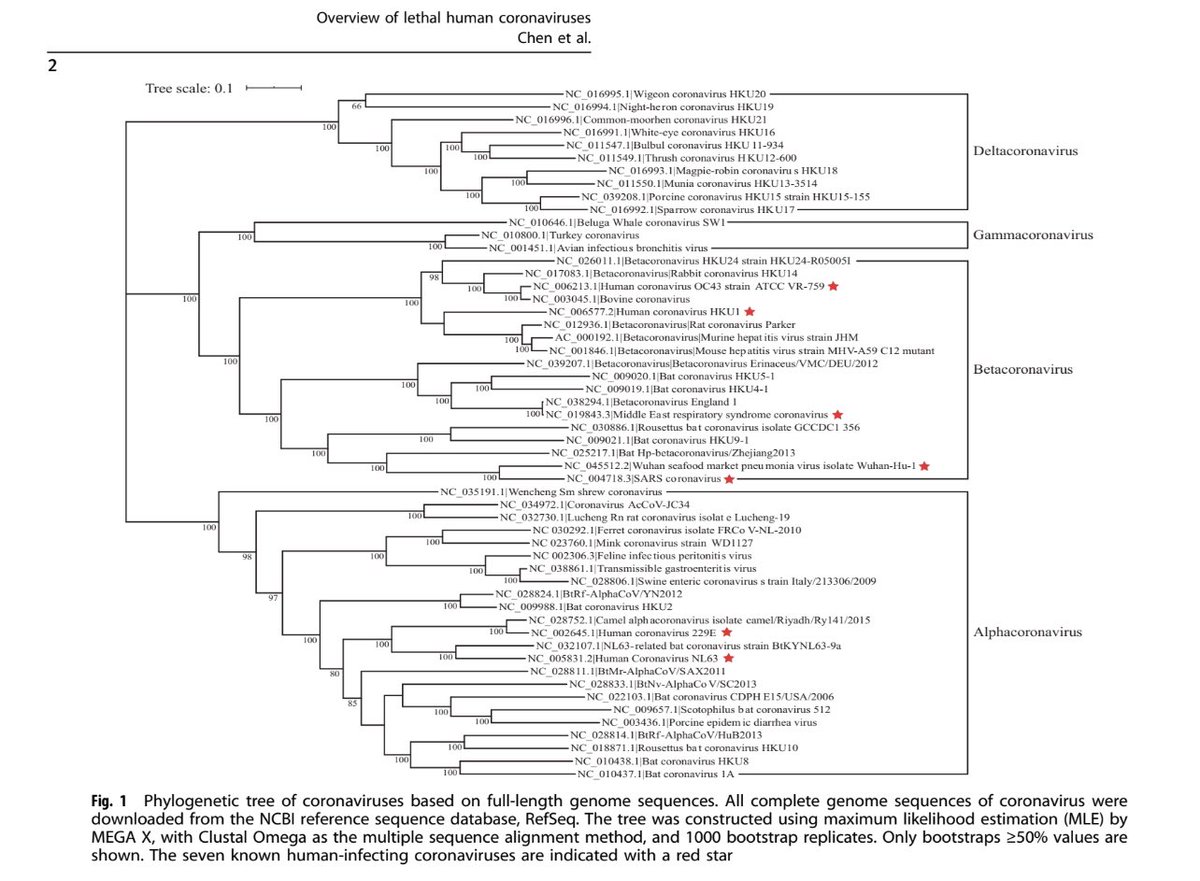 1/ "Megafacts" are very useful to orientate one's overall picture. Here are a couple: 

Of the seven coronaviruses which infect humans, four cause only the common cold. The other three are lethal and have only come into existence since 2002:

SARS
MERS
SARS2