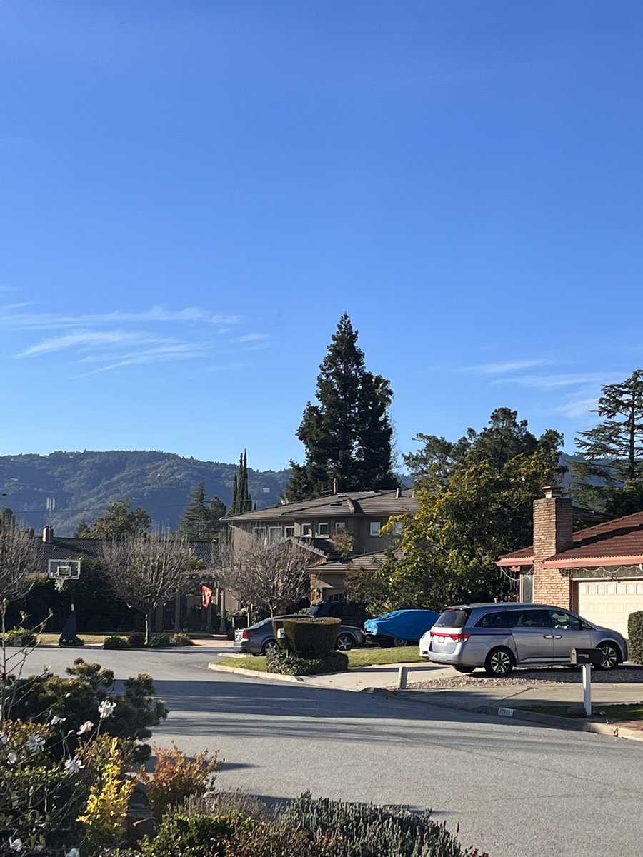 DavaraTumblr's tweet photo. Northern Hemisphere: Winter, snow, rain, ice, power outages
So Hemisphere: Summer, Outdoor sports, travel
Nirthern California: Spring. 🤷🏽♀️Go figure. Exhibits might help #NorCal #WhereisWinter #IWantRefund #ThisisCheating https://t.co/effEzAwszW