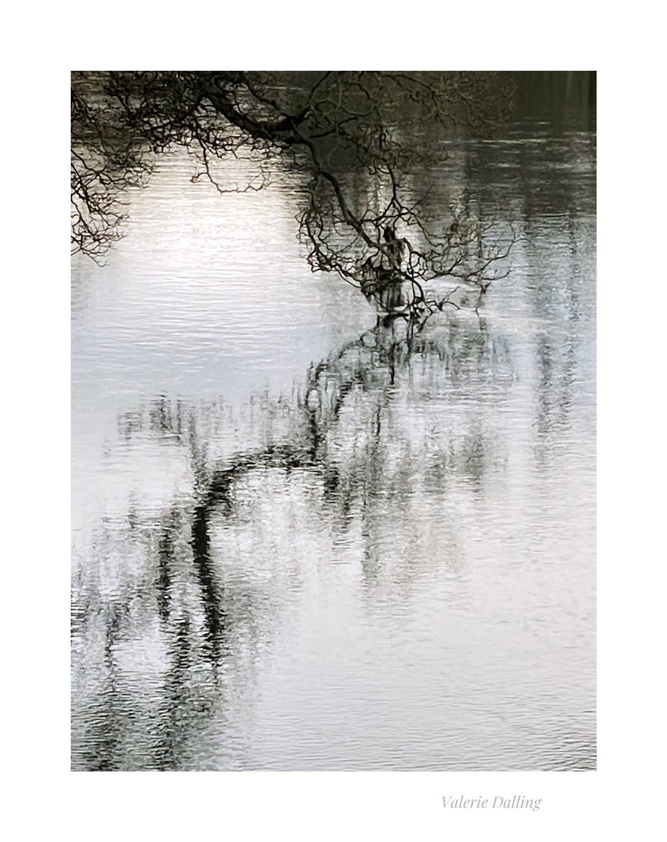 valeriedalling's tweet photo. Rather pleasant Wye reflection earlier…
#iPhone #photography #peaktrees #celebratingderbyshiretrees https://t.co/Iit4W83a5G