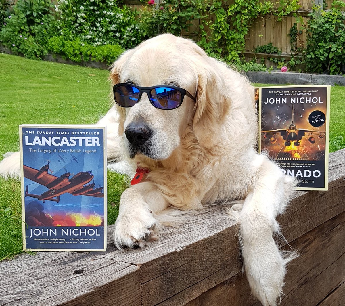 John Nichol ✈ (@johnnicholraf) on Twitter photo 2/
RT Comp winner 🥂
Congrats <a href="/Lector/">Don Gibson</a> you win a signed copy of TORNADO: In the Eye of the Storm
Didn't win?
Fear ye not, more RT comps to come, or you could just spend a fiver (yup, just £5) for the hardback, still on special offer:
amazon.co.uk/TORNADO-HA/dp/…
@Tedbear_dog loved it! 2/
RT Comp winner 🥂
Congrats <a href="/Lector/">Don Gibson</a> you win a signed copy of TORNADO: In the Eye of the Storm
Didn't win?
Fear ye not, more RT comps to come, or you could just spend a fiver (yup, just £5) for the hardback, still on special offer:
amazon.co.uk/TORNADO-HA/dp/…
@Tedbear_dog loved it!