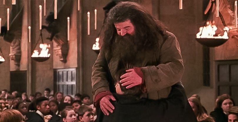 El_Traslador's tweet photo. 'En 50 años yo ya no estaré, pero Hagrid sí.' #ReturnToHogwarts https://t.co/tRYd3fY454