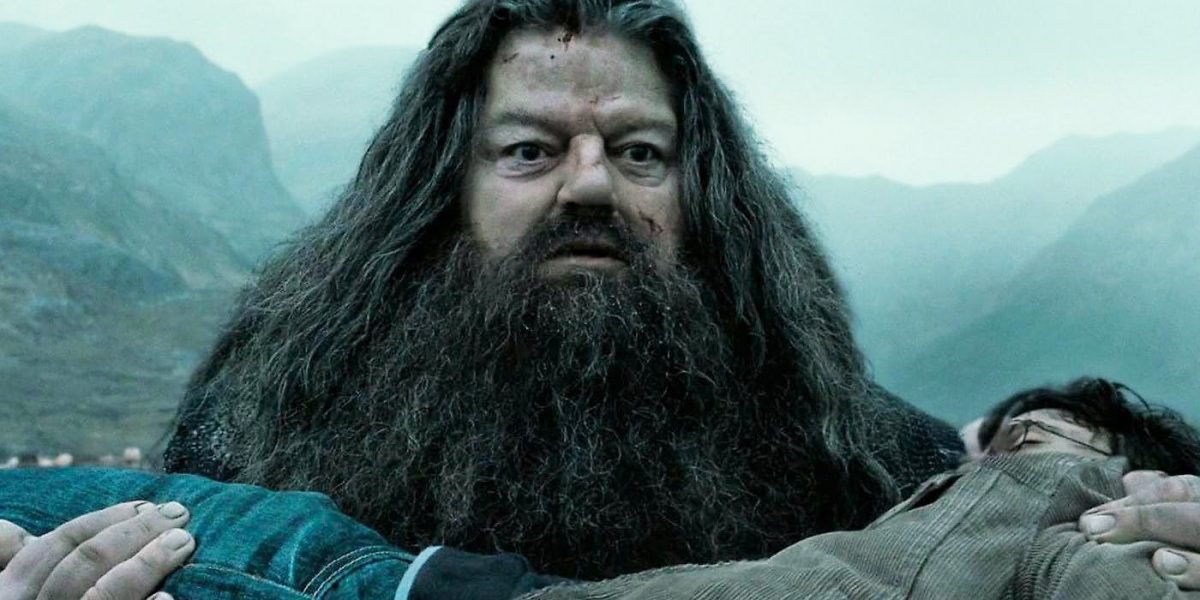 El_Traslador's tweet photo. 'En 50 años yo ya no estaré, pero Hagrid sí.' #ReturnToHogwarts https://t.co/tRYd3fY454