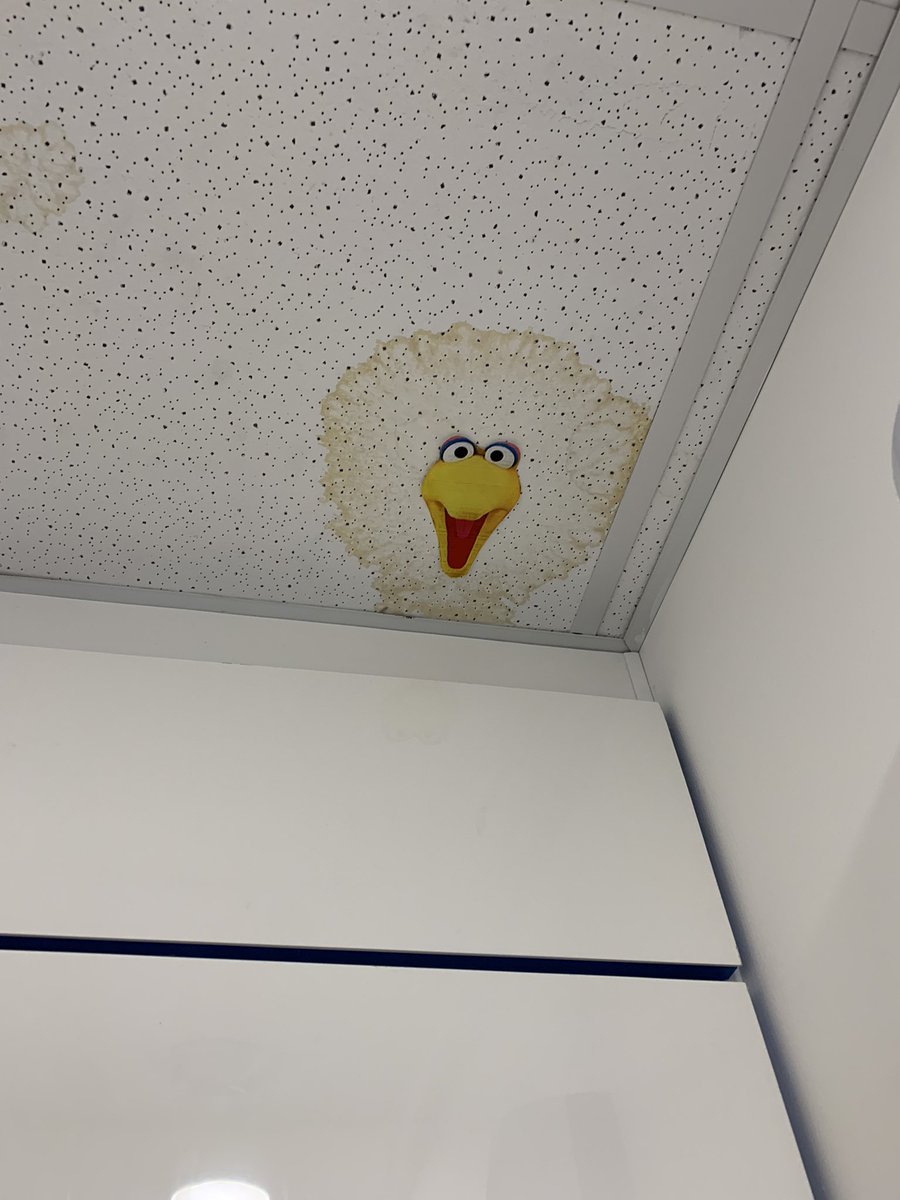 Mike Whatmore tweet media