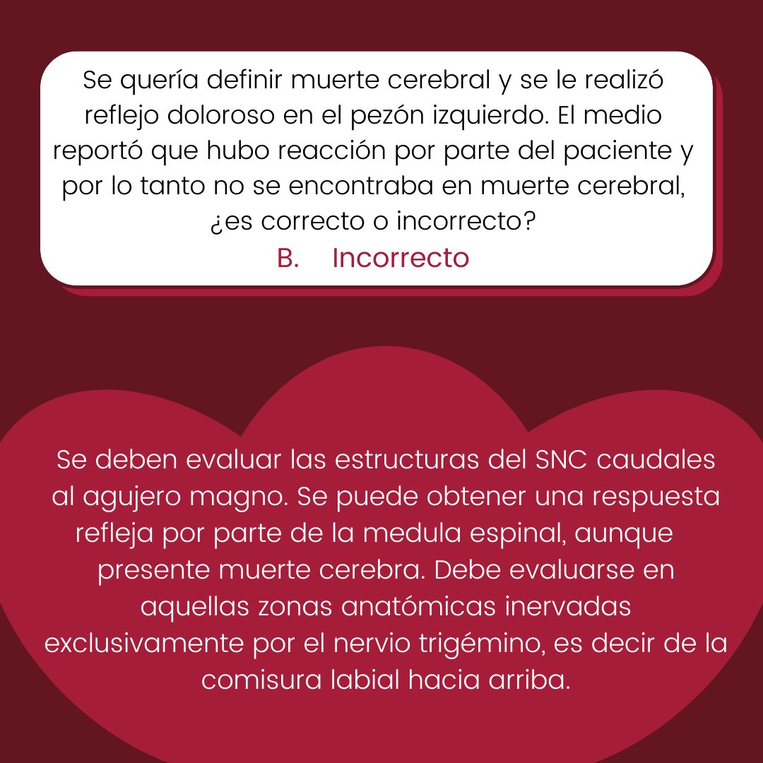 SIC_UdeA's tweet photo. Bibliografía utilizada:
- Ley 1805 de 2016
- Escudero D. Diagnóstico de muerte encefálica. Med Intensiva. 2009; Available from: https://t.co/g26I6C62DO https://t.co/QRT2sNA2Hj