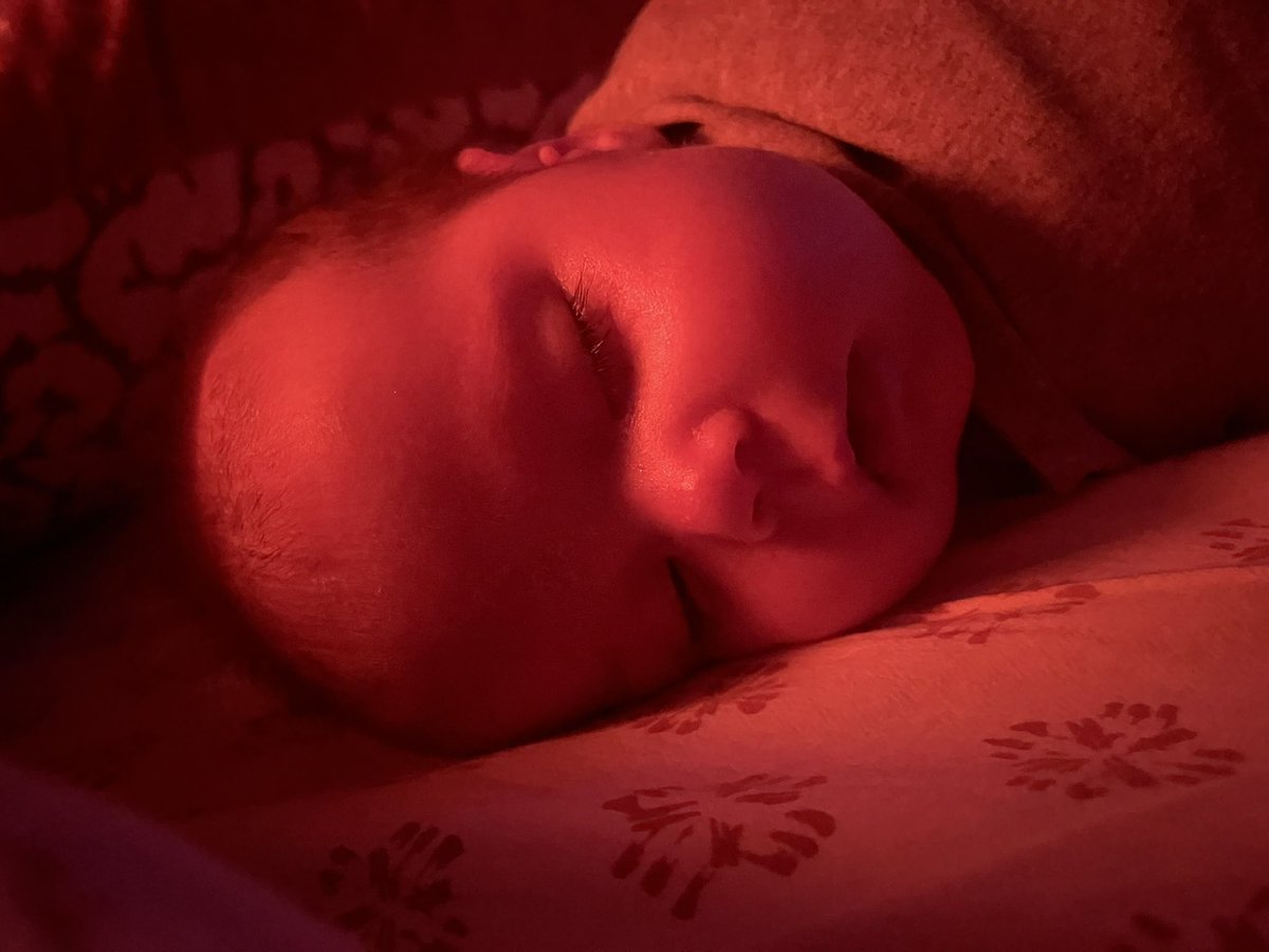 AshleyWieseler's tweet photo. My little glow bug ♥️ my view in the mornings >>> https://t.co/YIBxPrjgdB