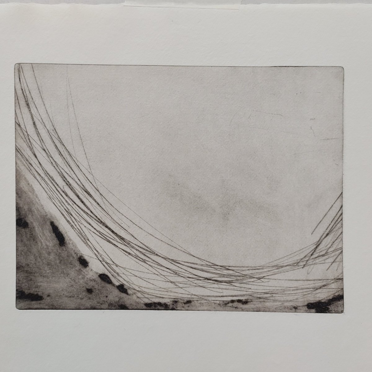 Maggie Thompson Printmaker (@mprintmaker) on Twitter photo 