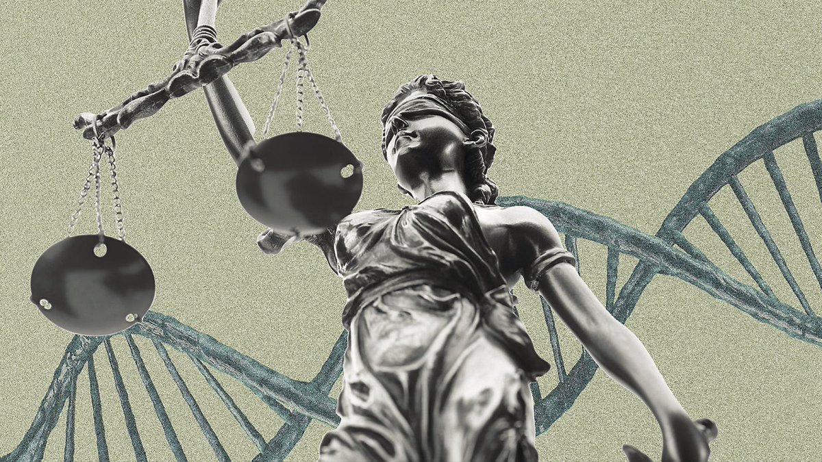diariARA's tweet photo. 🤔 Però, això, qui ho regula?

La genetista @GMarfanyN obre el meló en aquest article en què apunta diverses reflexions bioètiques com que l’edició genètica té un cost elevat, de manera que no tots els humans hi tindran accés
🔗 https://t.co/GwFhd13udd https://t.co/VL6WyuLDdN