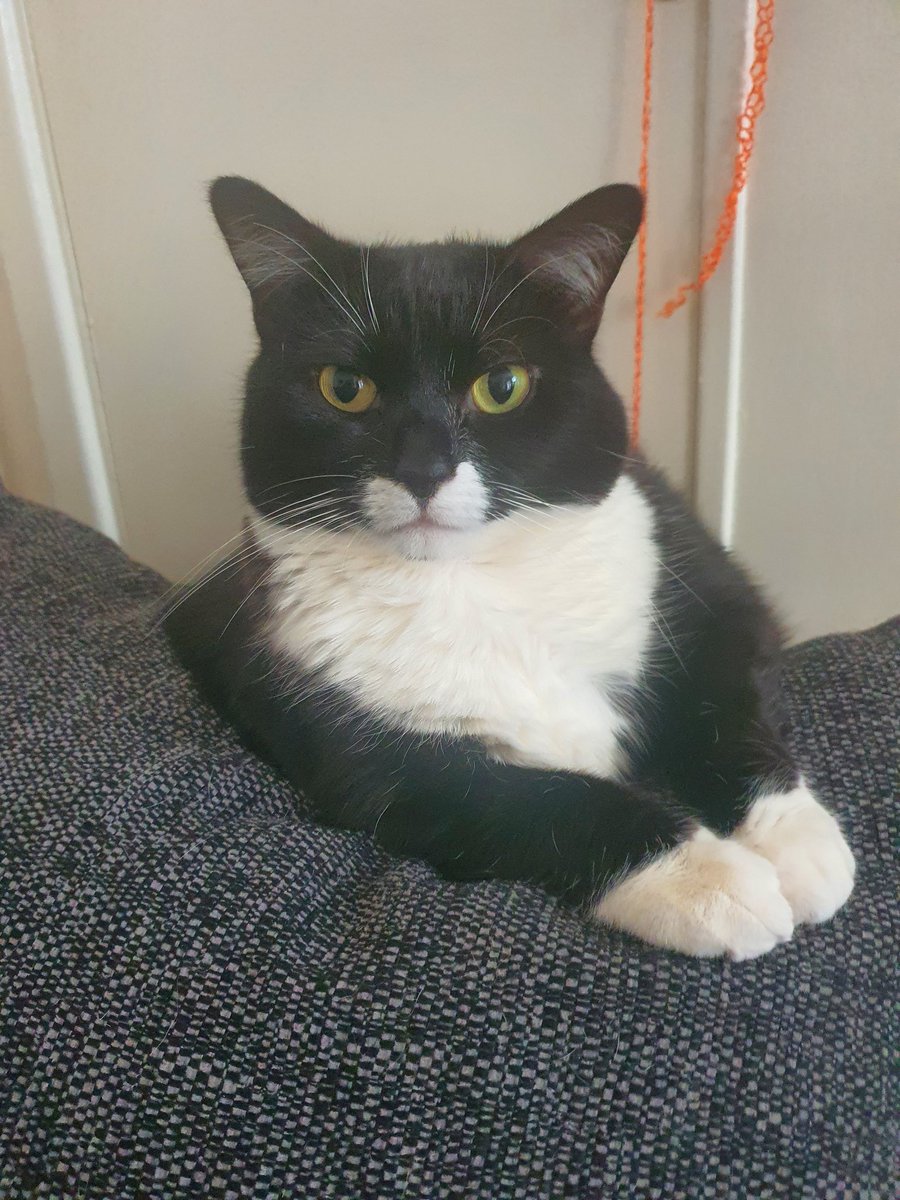 alichenn's tweet image. 