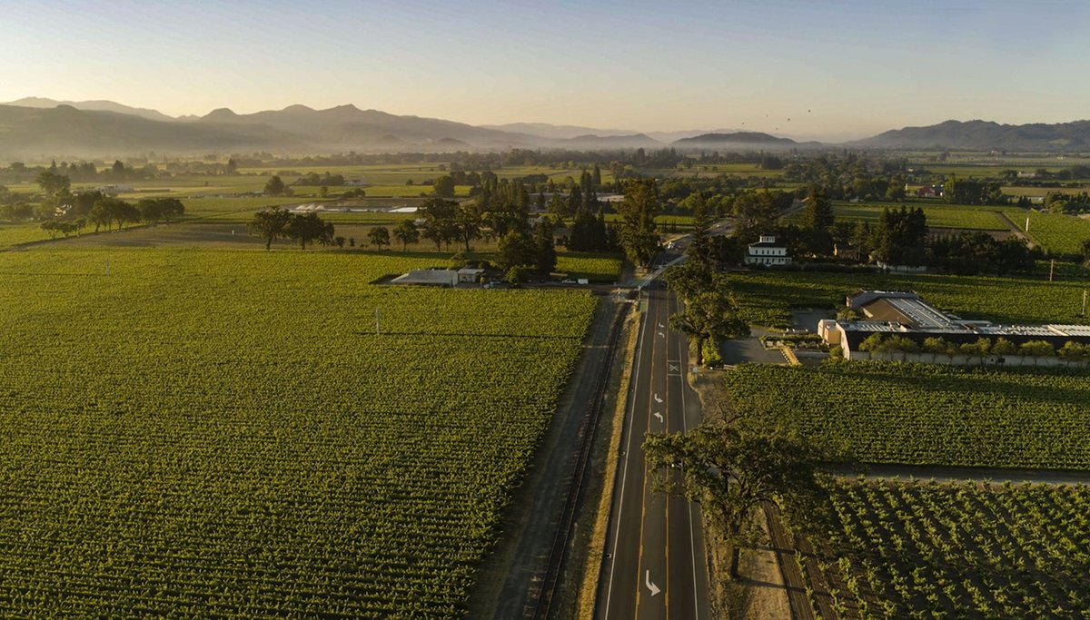 <a href="/Whitehalllane/">Whitehall Lane</a> takes advantage of their unique terroir by crafting beautiful Cabernet Sauvignons &amp; Merlots. 

Experience the cycles of their vines as you stroll through the vineyards w/ a glass in hand; make an appointment whitehalllane.com/visit #ThisIsCalistoga #VisitCalistoga