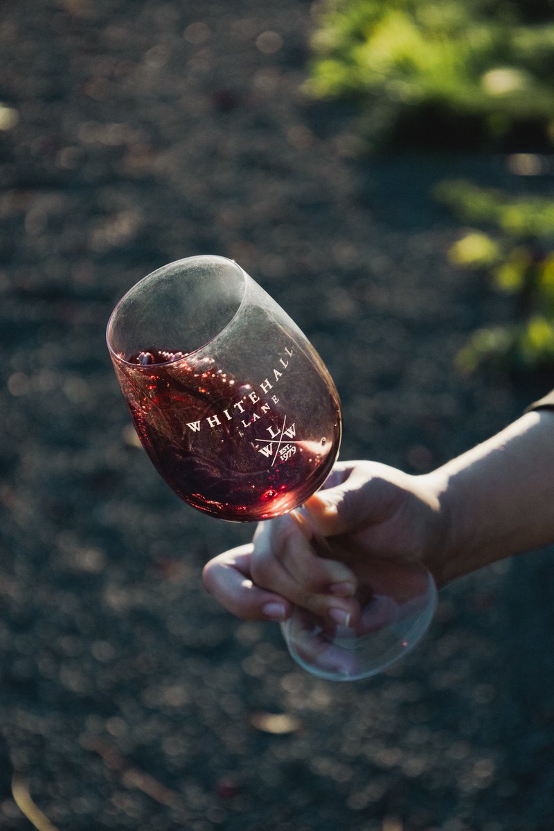 VisitCalistoga tweet media