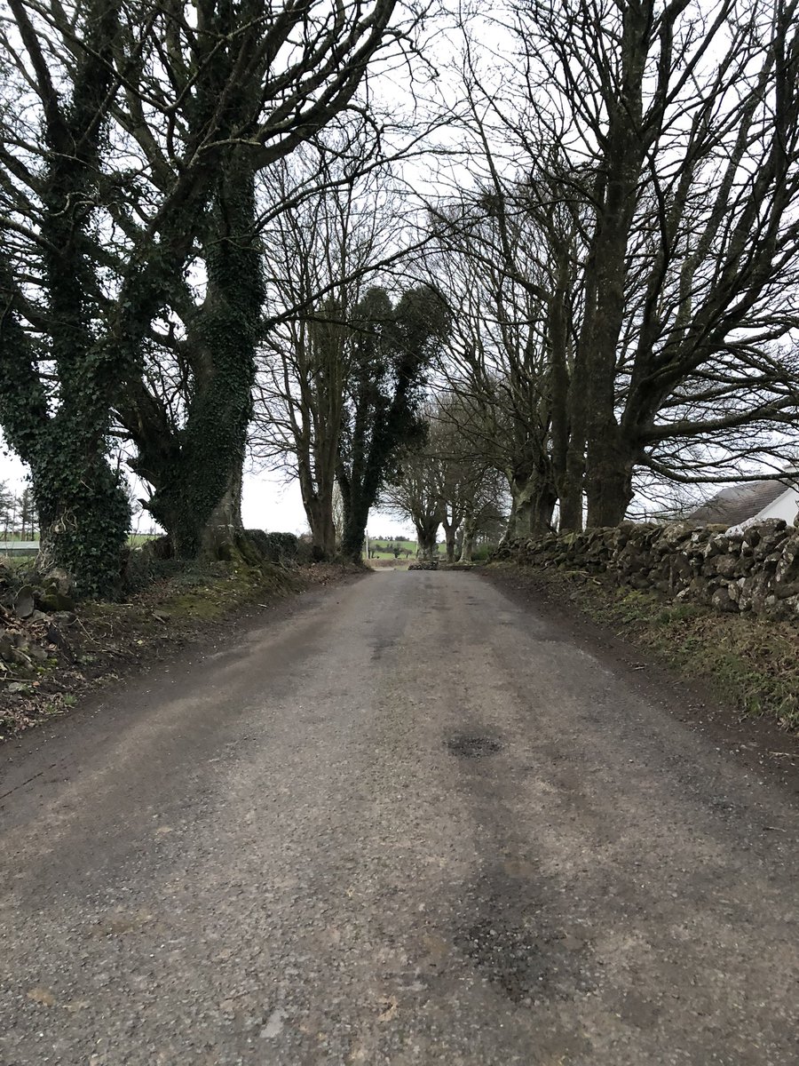 MartinaCurtin's tweet photo. Day 22 #100daysofwalking 
30 mins of walking each day.
#outdoors #selfcare #kindness #bannercounty https://t.co/AI50qYXhru