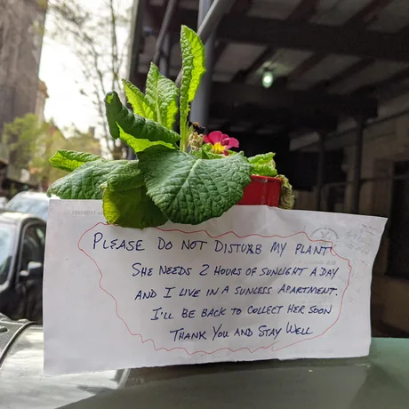 WholesomeMemes (@wholesomememe) on Twitter photo 