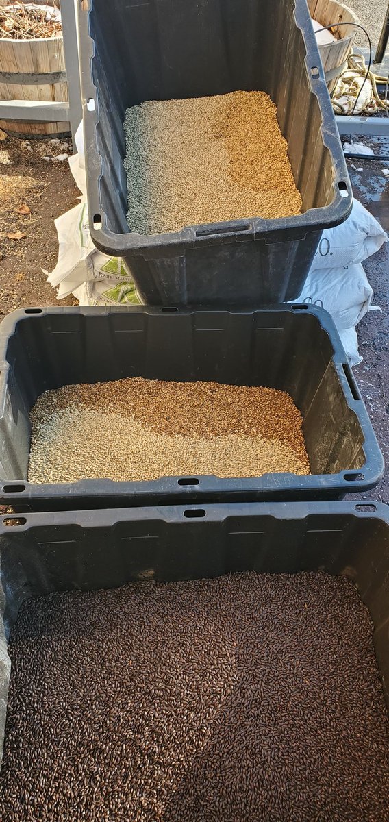 The Brewer's palette! 🥰