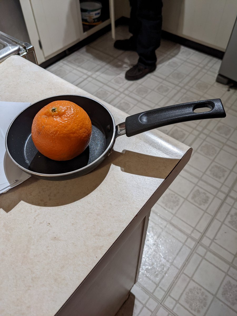 MaggieRBorders's tweet photo. It's a clementine but #panpics #tinypan https://t.co/uvy0iItY5H