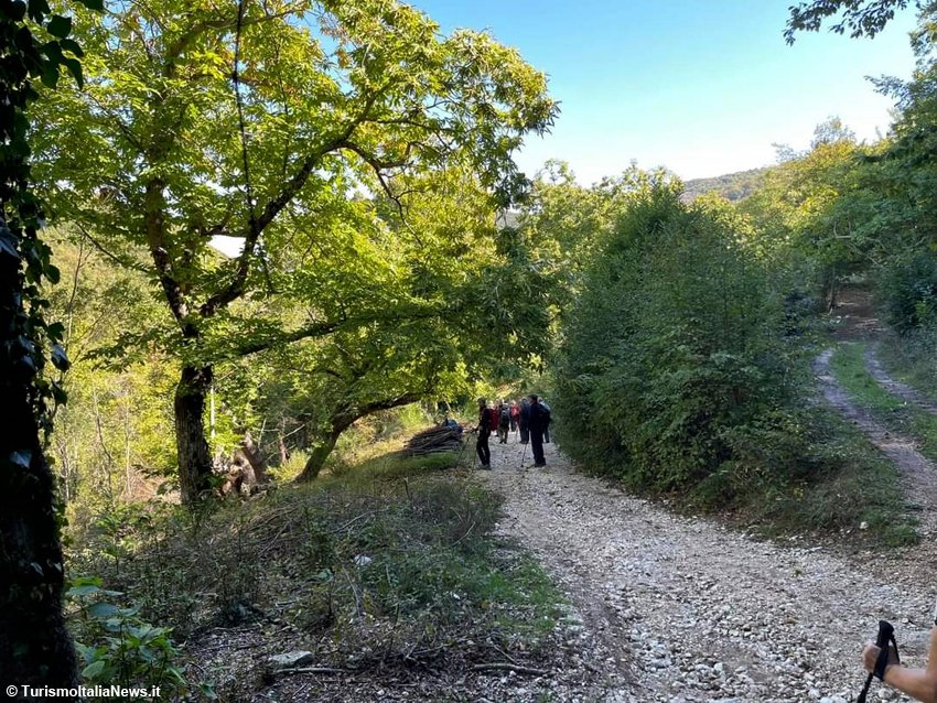 TurismoItaliaNw's tweet photo. LIGURIA | Sulle tracce di Napoleone nel ponente ligure: un trekking al Monte Croce e Monte Piccaro da Borghetto Santo Spirito
Leggi la notizia https://t.co/5DUgeesow9
#liguria #Napoleone #trekking #montecroce #montepiccaro #turismo #liguriatrekking https://t.co/GBqDMYf0oG