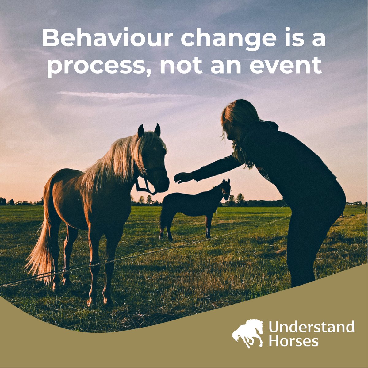 equine_courses's tweet photo. 'Misbehaviour' in horses is either normal behaviour that the handler has misinterpreted, or behaviour that the horse is performing as a result of pain, unsuitable management, poor training, or any combination of these things.
https://t.co/0gX2KMf5ZV

#horsebehaviour #horses https://t.co/nyJJx1RH9F