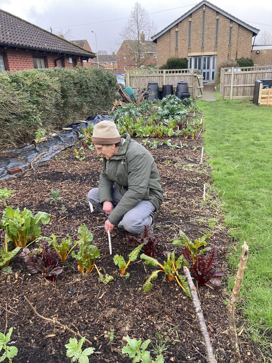 Farm_Share's tweet photo. Community micro garden at St Francis church in #heartsease With funding from @LandworkersUK and @TNLComFund look how #norwichfarmshare and the local community have transformed this space. Get in touch if you’d like to get involved. https://t.co/Toy6fHXlHz