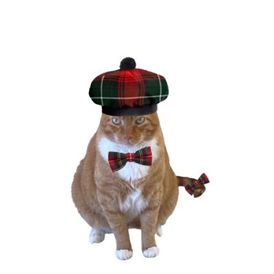 cathiebun's tweet photo. #NewProfilePic https://t.co/fFPjqoIQn5