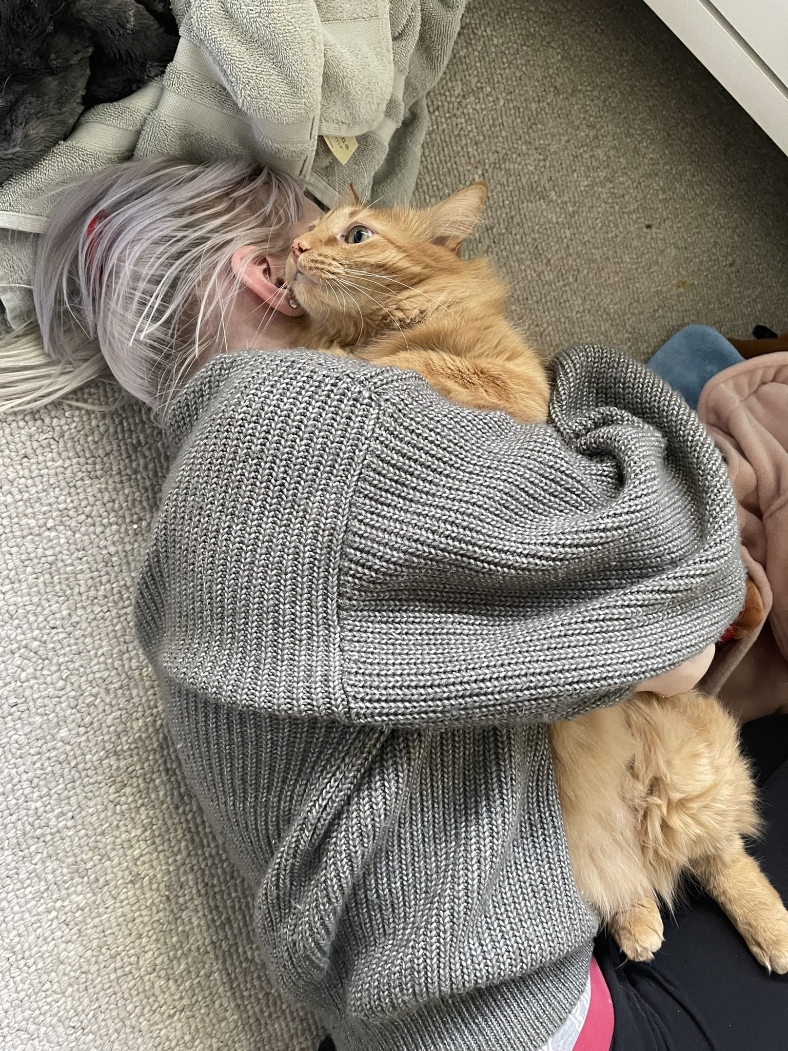 TW Pornstars 2 pic. Lauren Dragneel. Twitter. Have some pics of me