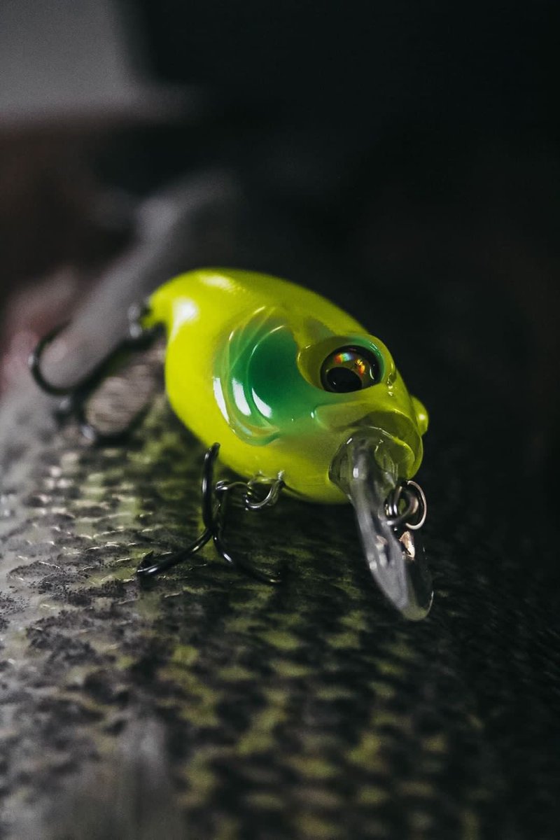 Our Mini Crankbait! 🔥 Check us out at Warriorstacklesupply.com!